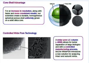 Core-shell advantages, bioZen WidePore C4